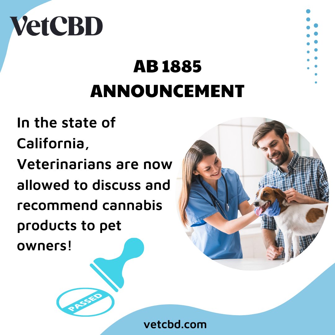 The 2022 California assembly bill AB1885 has passed and now allows for veterinarians to recommend cannabis products for pets in need of alternative treatment options.#pethealth #cannabisforpets #CaliforniaAB1885 #ashkalra #alternativewellness #veterinary #veterinarymedicine