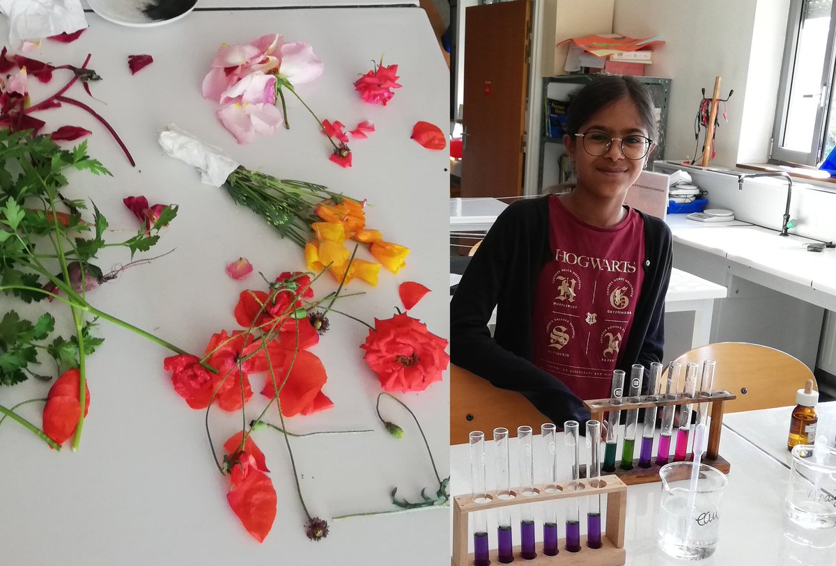 Alexandra Gondonneau et ses collègues (Collège Michel Bégon à Blois) reçoivent un prix spécial chimie pour le projet mené avec 44 élèves de 6ème : "La couleur des aliments" #PrixLamainalapate