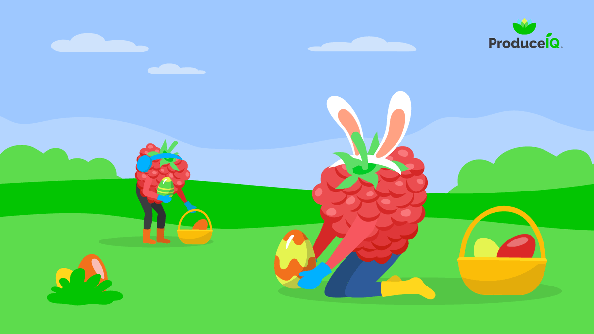 ProduceIQInc's tweet photo. It’s Easter week, and produce markets are reacting strongly to the jump in holiday demand and decrease in the supply of heavily weighted commodities like grapes and berries. Read full report here: https://t.co/bMsa3fsx94
#produceiq #produce #freshproduce #priceindex #news https://t.co/PnHRMIusRr