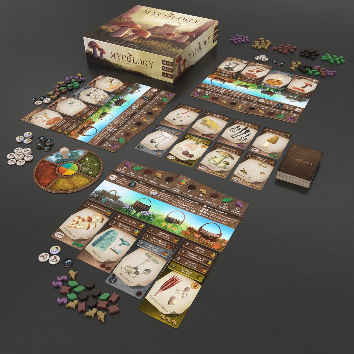 🚨 COZY GAME ALERT 🚨 

I can safely say Mycology is the ~*~coziest~*~ game I have ever developed. It's by a first time designer who is also an ACTUAL mycologist, with a whole lot of <a href="/byQuillsilver/">Quillsilver Studio</a> involvement. I hope you'll check it out 🍄