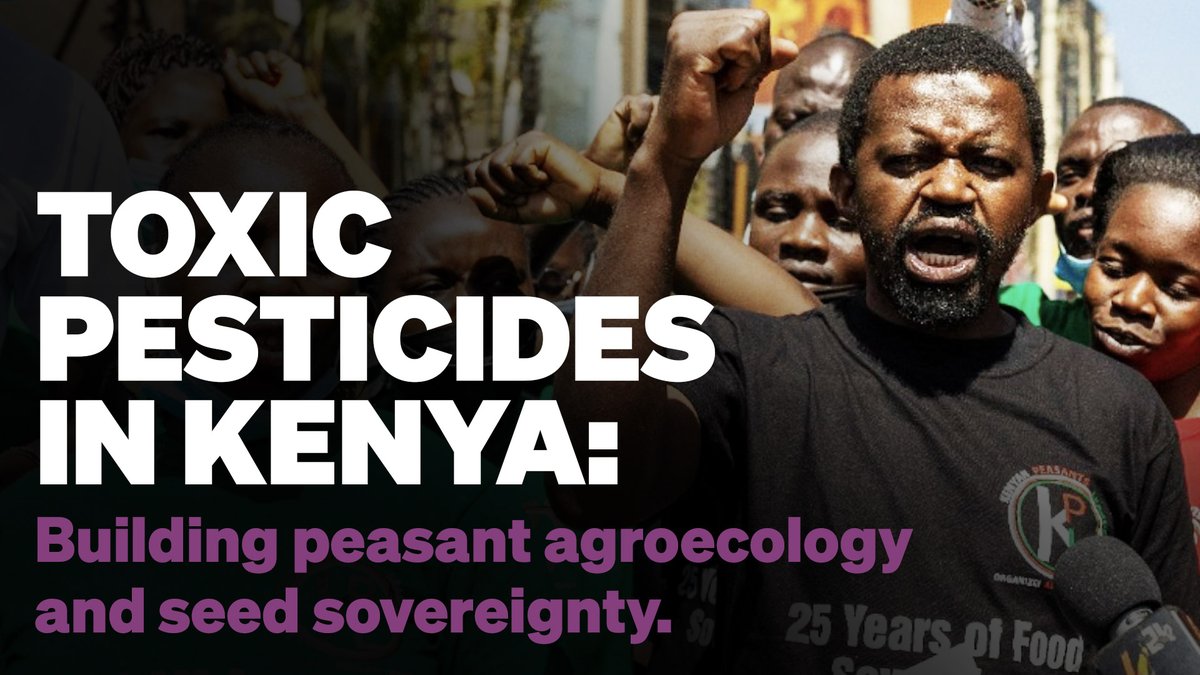 WarOnWant's tweet photo. 📖📺Find out more in our report, and hear from our partners: https://t.co/CQaWas7zxx
#WhoProfitsFromHunger https://t.co/xx0qJy5Y9A