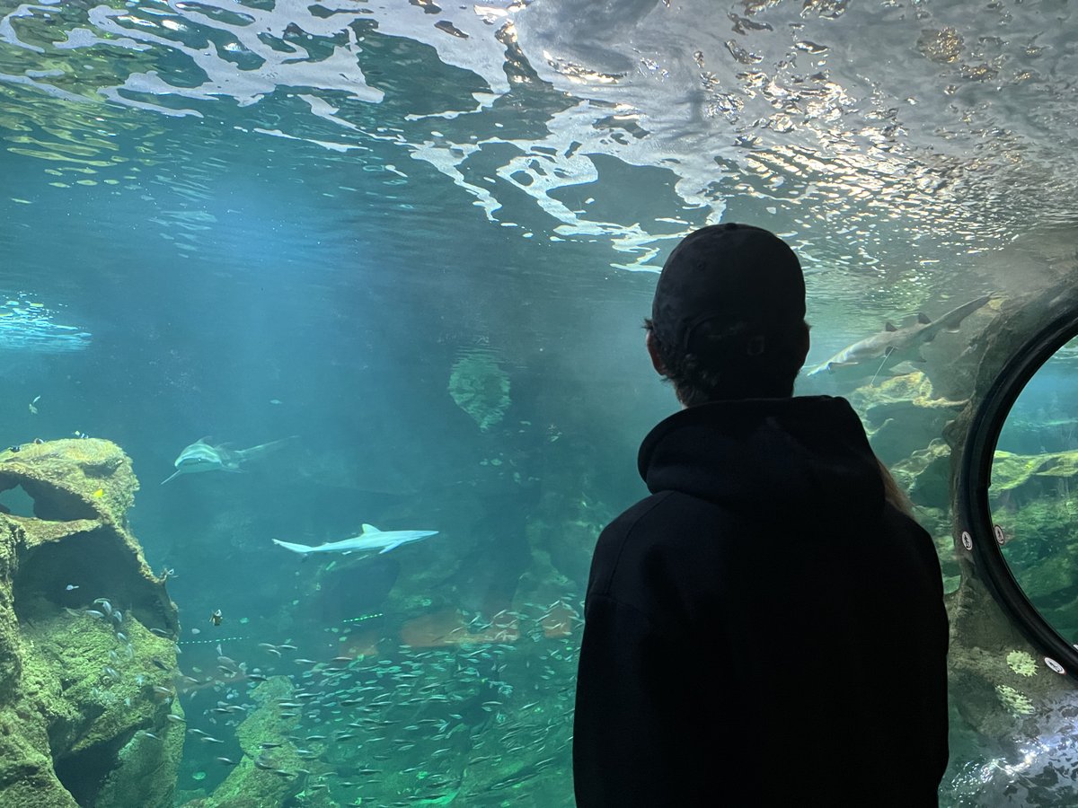ExceliaGroup's tweet photo. [#International🌍] Let's start the #GlobalNetworkWeek of our BBA2 from Paris-Cachan &amp; La Rochelle and some international #students! 
Today they started their day with conferences on "#climate change and #sustainable #development" and then visited the #aquarium of #LaRochelle! 🐠 https://t.co/5xPFUfI2Pk