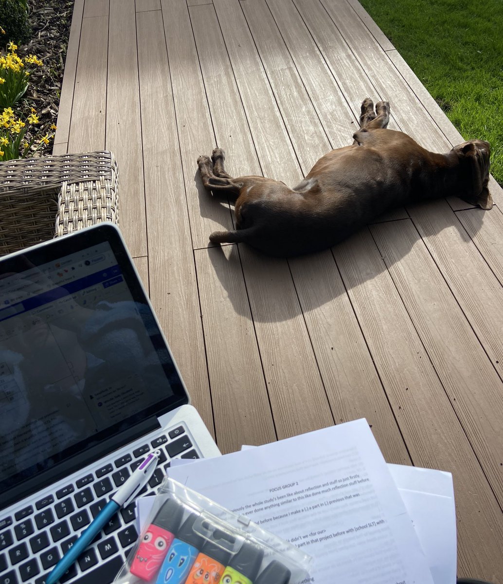 WindleSally's tweet photo. Dissertation writing and thematic analysis feels much more enjoyable when I can bask in the sun with Axel ☀️ #SLT2B #dissertation #gsp https://t.co/bizza481cv