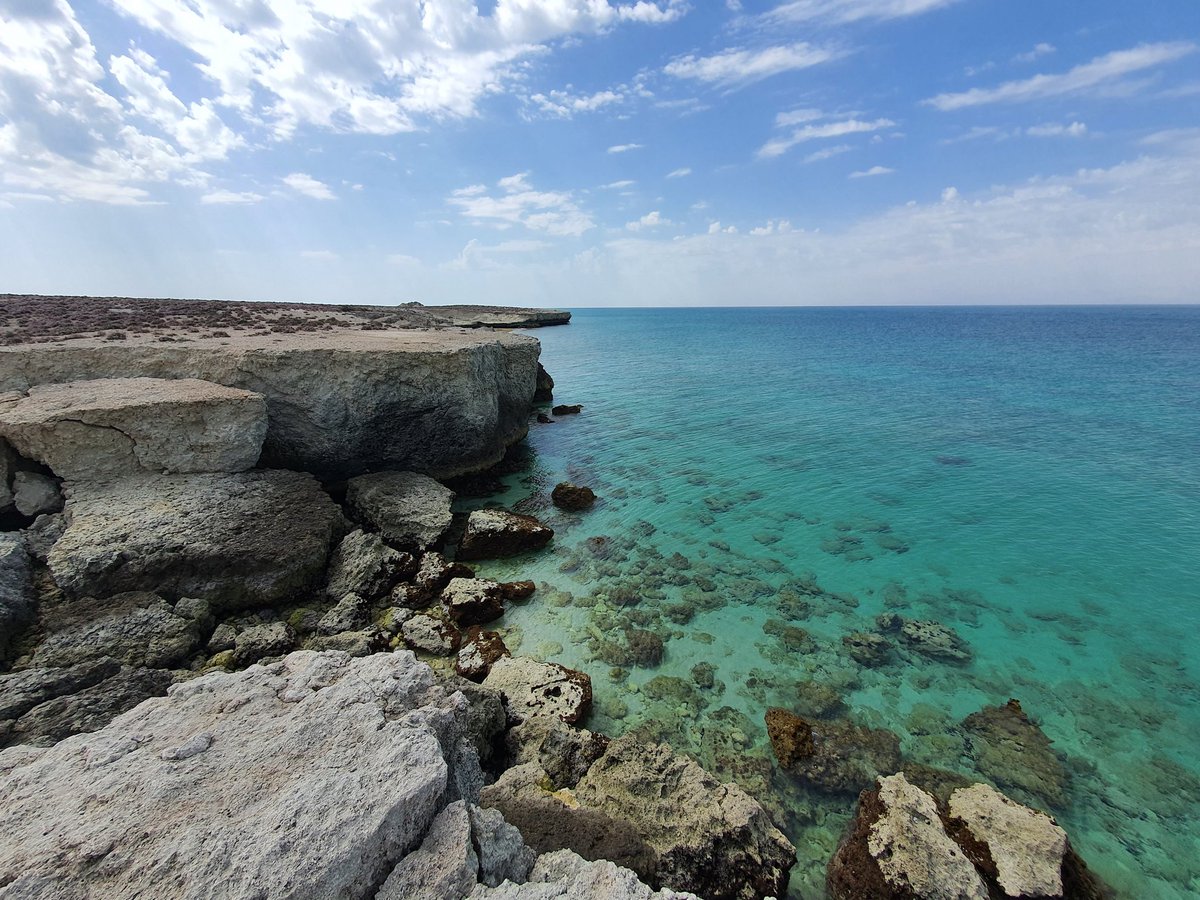 مهران tweet media