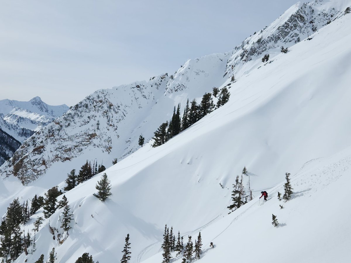 AlexMarchal4's tweet photo. All the snow out west has me reminiscing about this crazy season https://t.co/Pj5mQsAIJg