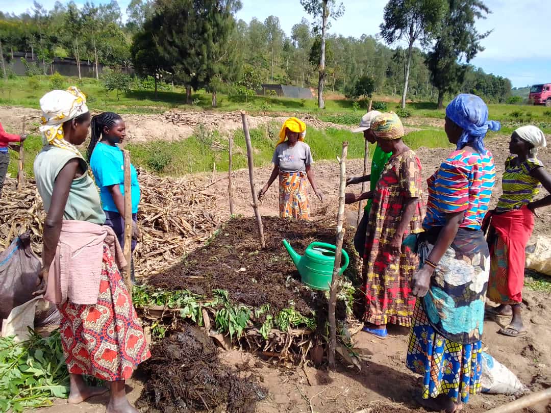 DelphineMujawa1's tweet photo. Abahinzi baherutse guhugurwa na @HoReCo_Rw  ku buhinzi bunoze, nyuma yo gusoza aya mahugurwa bakomeje guhugura bagenzi babo ku gukora ifumbire y'ikirundo izabafasha kongera umusaruro mu gishanga cya KIBUZA.@Kamonyi ,@RwandaAgri,@RwandaCSSA https://t.co/3c3q81o5Hp