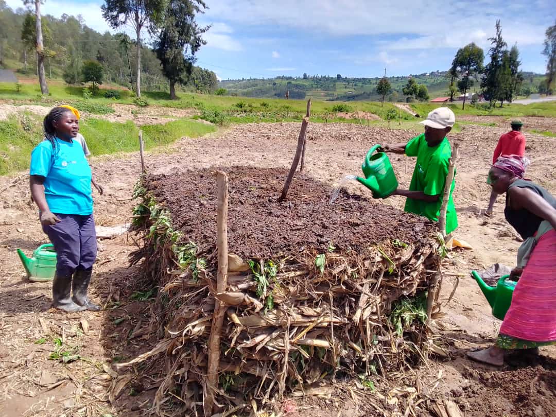 DelphineMujawa1's tweet photo. Abahinzi baherutse guhugurwa na @HoReCo_Rw  ku buhinzi bunoze, nyuma yo gusoza aya mahugurwa bakomeje guhugura bagenzi babo ku gukora ifumbire y'ikirundo izabafasha kongera umusaruro mu gishanga cya KIBUZA.@Kamonyi ,@RwandaAgri,@RwandaCSSA https://t.co/3c3q81o5Hp