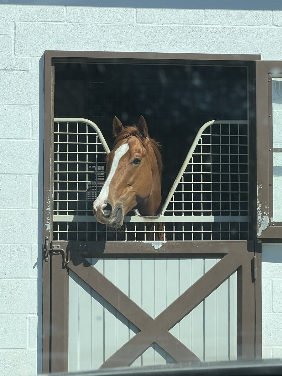 ⭐️ Royne ⭐️ 🥰🥰 <a href="/UplandFlats/">Patrick Lewis</a>