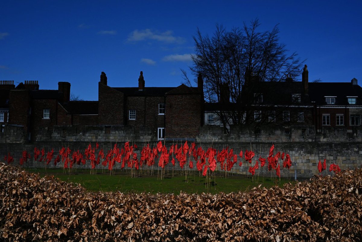 BeaLast's tweet photo. Thank You Mike @TippingsTipples #photographer for this great shot of #TheRedBags from the gardens at @YorkArtGallery @YorkMuseumTrust
@BeaLast @AestheticaMag #artprize
#sculpturaldrawing #contemporaryart #humanitarian #massmovement #Recycled #bullettholes #migration #crisis https://t.co/gmFvHtBwNZ
