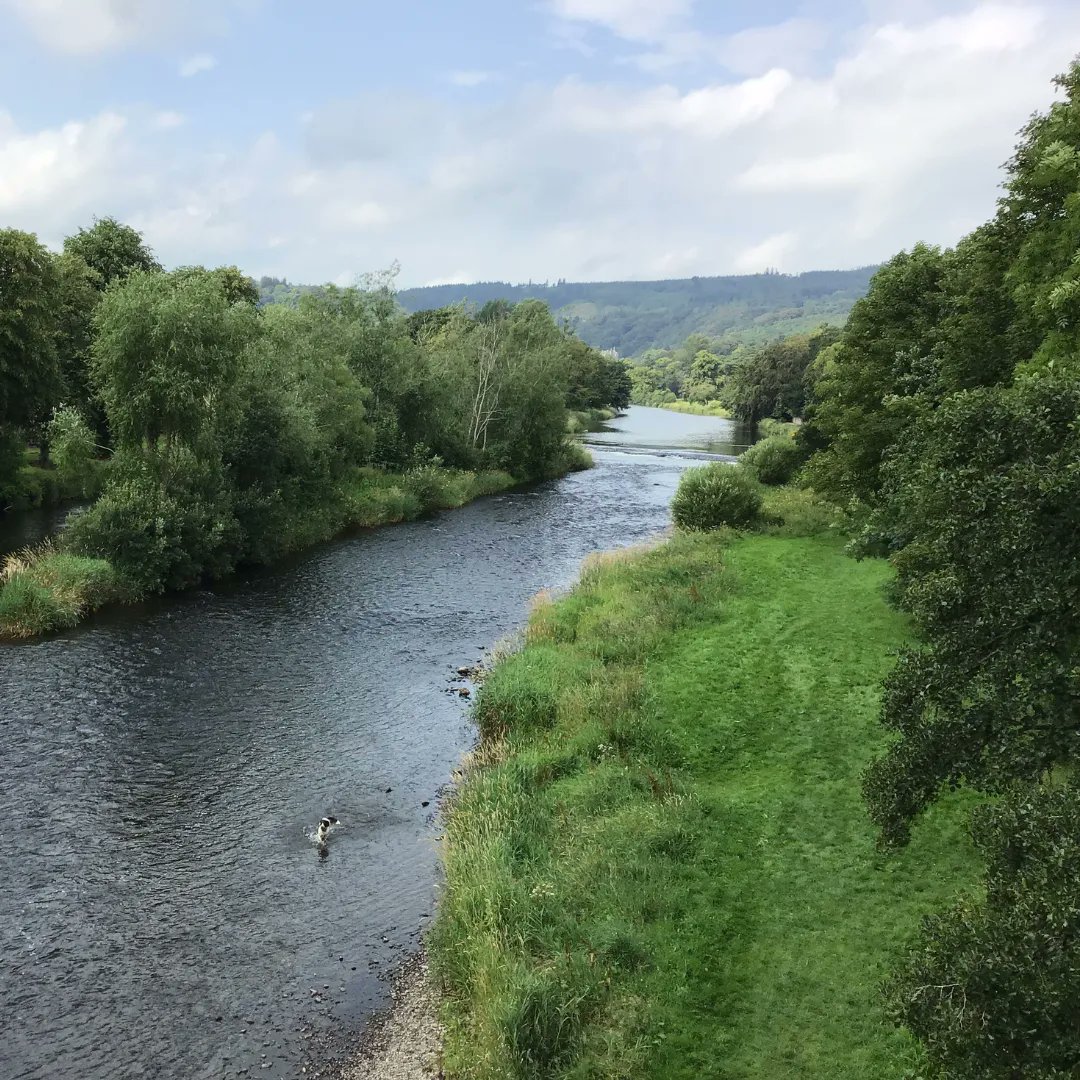 The government's new water plan is evidence of how far #peoplepower can go. 🙌
 
But we've seen some of these targets before. Promises without action aren't going to #endsewagepollution. We need more, so let's keep the pressure on. ✊

buff.ly/3GeEum2