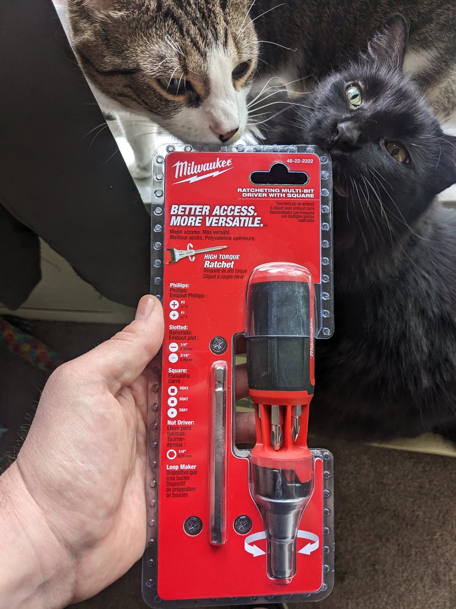 MartinOnTheGo95's tweet image. Please enjoy this absolutely perfect photo of Chaos and Pepperoni finally helping out around the house
