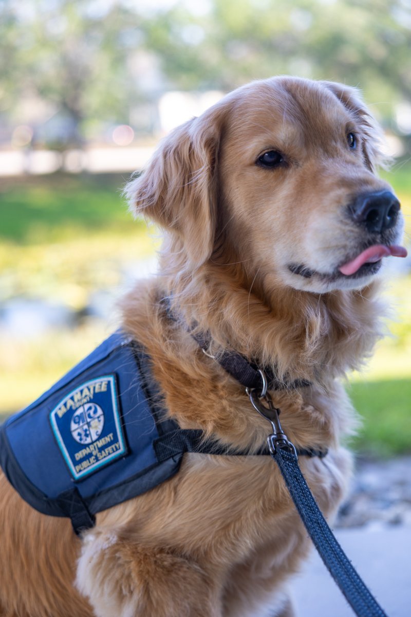 It's #TongueOutTuesday &amp; Rucker is here to remind us of some essential tips for our four-legged friends as temperatures rise.
✔️Have fresh/clean water
❌Do not leave pets in unattended cars
❌Do not let pets linger on hot asphalt
✔️Don't forget treats &amp; belly rubs*
*Rucker's tip