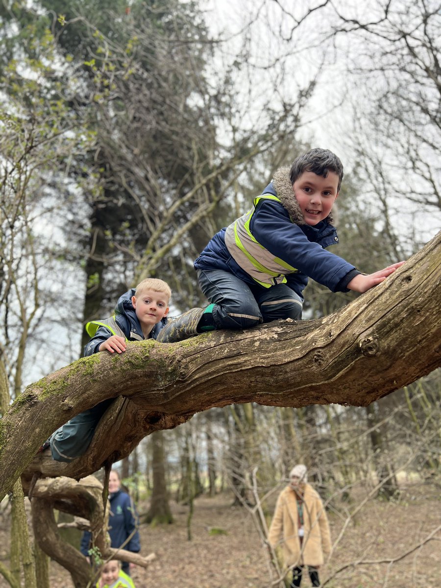 CarmondeanELC's tweet photo. Forest Adventures today. We were risk assessing dangers and keeping #SafeSam during transitions. Children were so engaged in their play whilst exploring 🌳🌳🌲🌲🏞️
#BeingMe 
Article 31 - I have the right to play. 

@WL_UNCRC 
@WL_Equity 
@wlelc 
@froebeledin https://t.co/GRFObE77MD