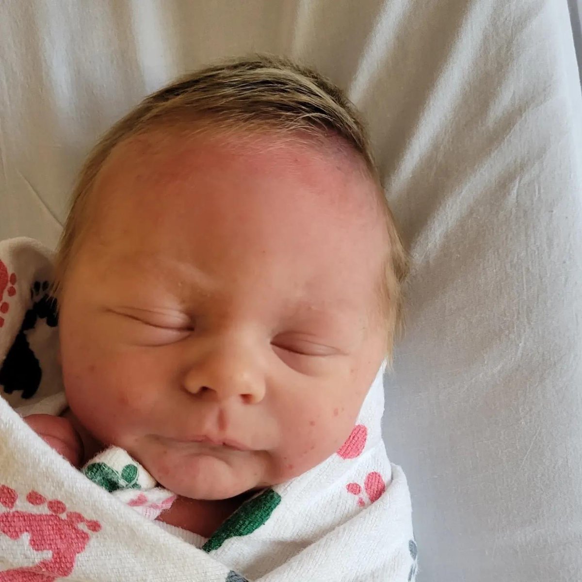 RossWestViewEMS's tweet photo. Congratulations to Ross West View EMSA Paramedics Glenn “Shrek” and Kayla Pritchard on the birth of there beautiful baby boy, Craig David. Mom, Pops and Craig are all doing well and expected home today. Welcome to the family Craig!!!! https://t.co/sw5lb1A2y3