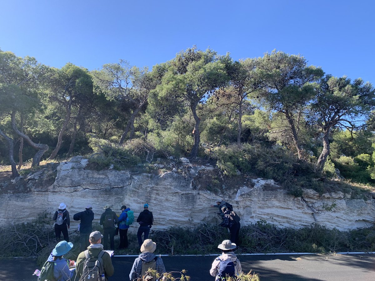 Sam Mitchell tweet media