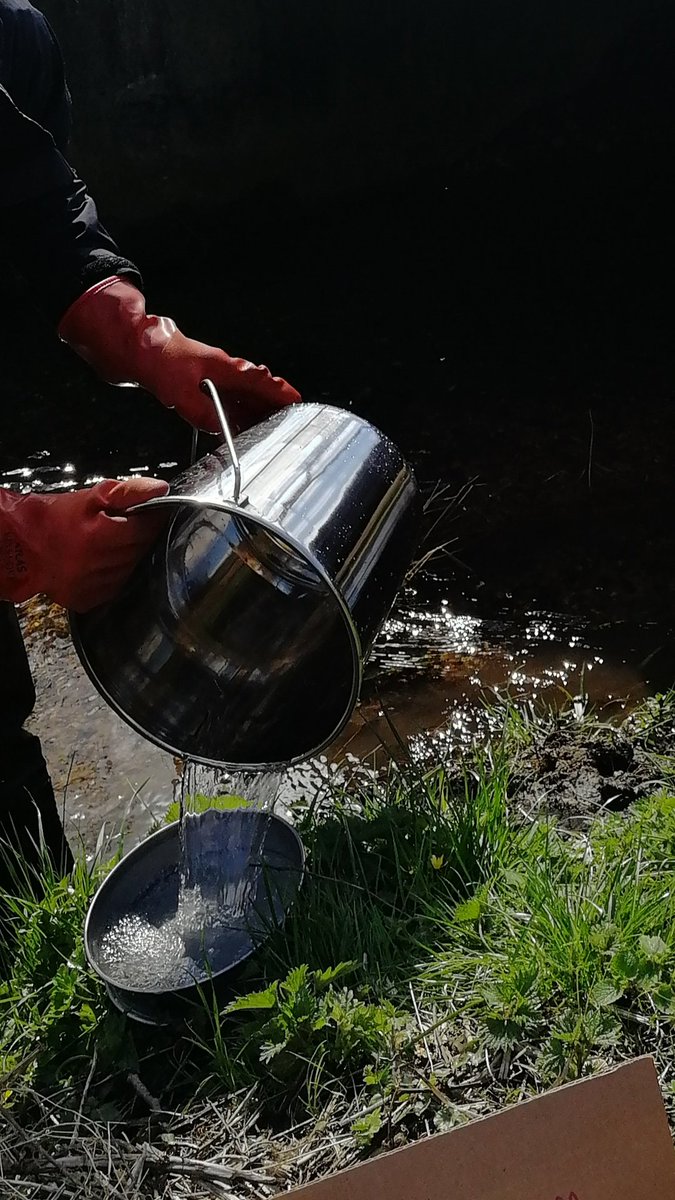 Maria_E_Staines's tweet photo. Fantastic day yesterday collecting my first set of #microplastics samples up and downstream from #wastewater treatment works storm and treated effluent outfalls with @RJCooper25! 🏞️

@DrAndrewMayes @ProfKHiscock @RhBark @Vittydanino @ueaenv @ARIES_DTP @AnglianWater @WendlingBeck https://t.co/noJpKbOt11