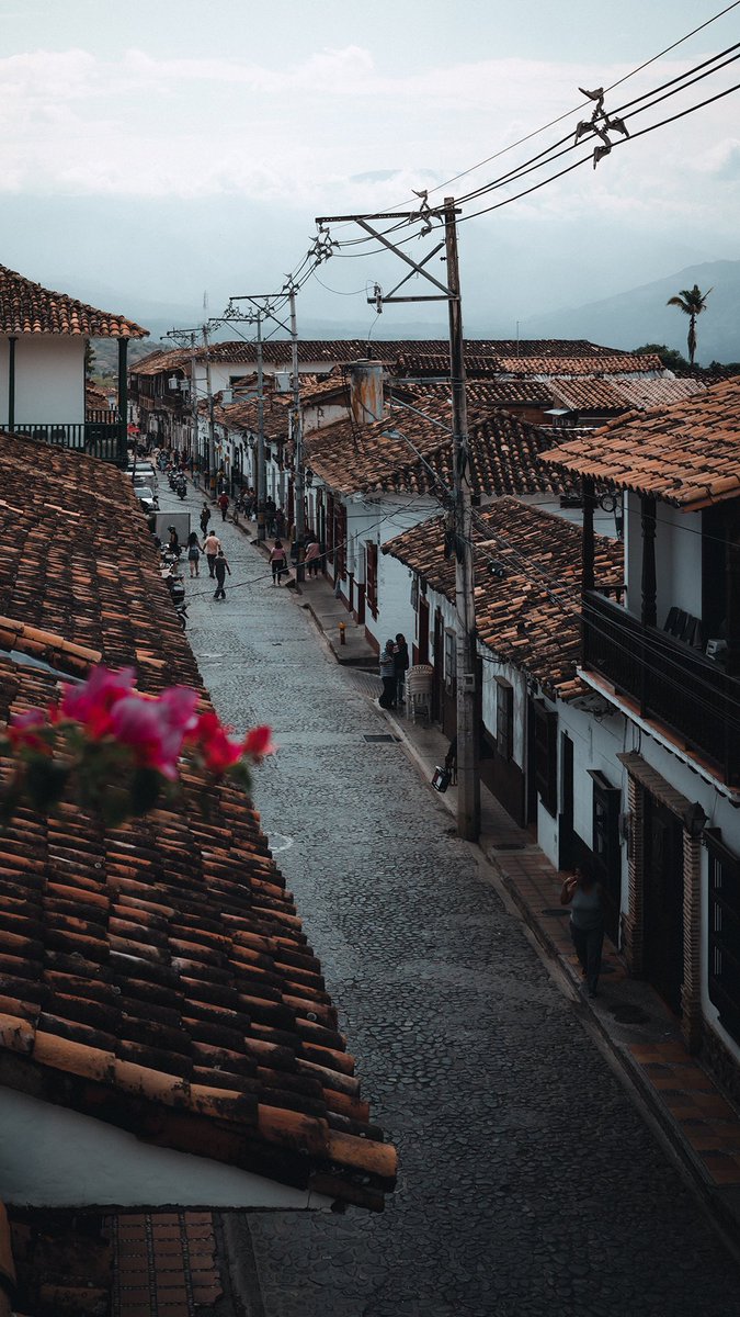 AriasSPhotos's tweet photo. GM from Colombia 🇨🇴💚 https://t.co/4t4zQRjhSm