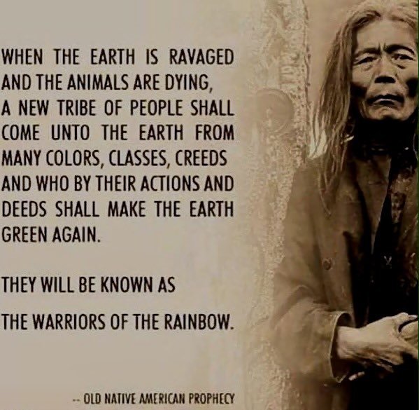 RMatthewuldriks's tweet image. We SO need RAINBOW 🌈 WARRIORS ‼️💚❗️💪