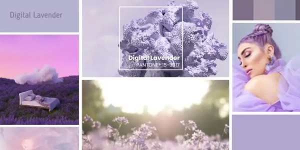 publicity21's tweet photo. El lavanda digital vestirá las redes este 2023 https://t.co/uQscuwvP5y 💜 🛍 ✨
#Moda #WSGN #Retail #SocialMedia #Fashion #TikTok #LavandaDigital #NewNormal #Color2023 #Pantone #FashionBlogger #Publicity21 https://t.co/Cnld6VjLOg