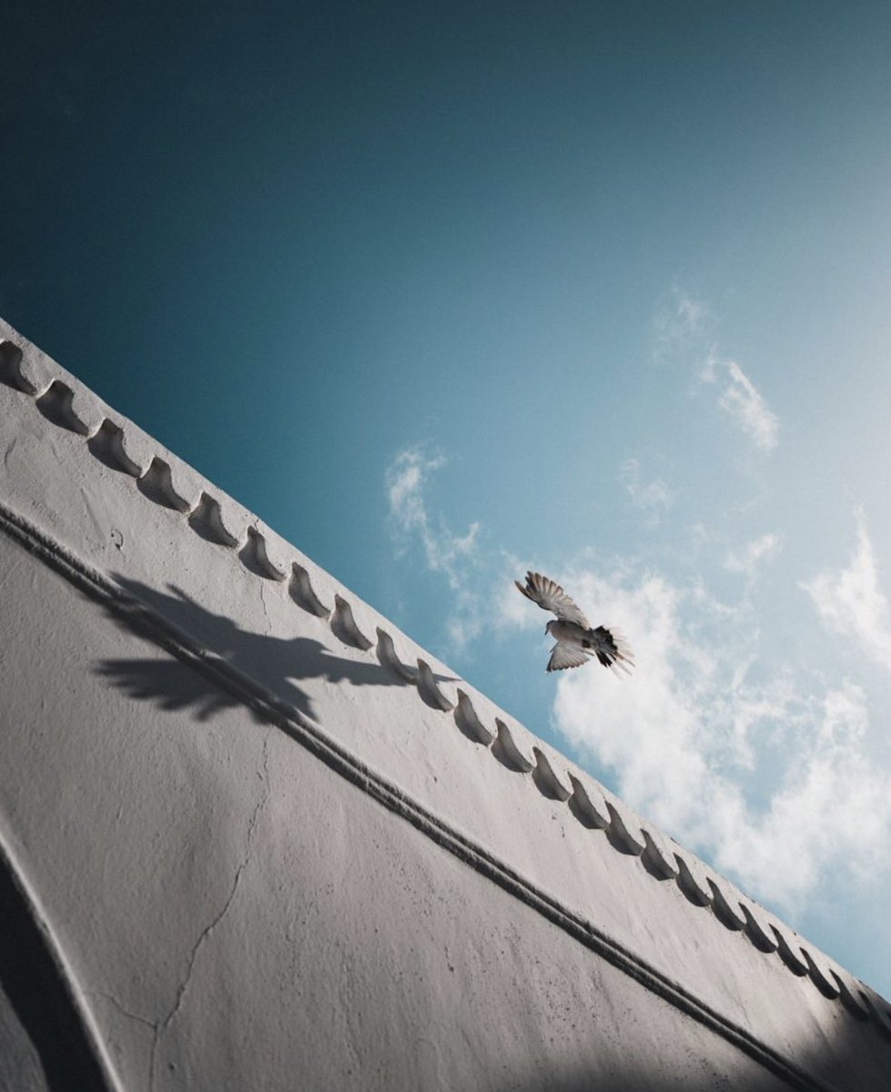 PHLY 🌊 Phil de Glanville tweet media