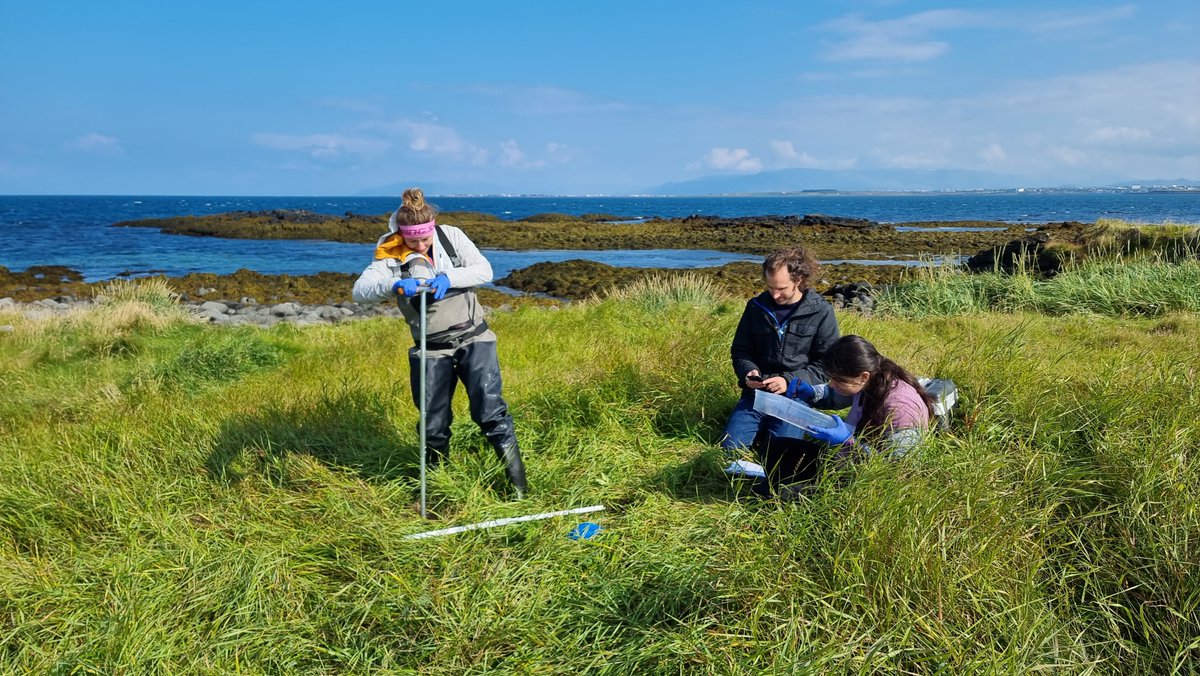 ELLS_Heidelberg's tweet photo. Don't miss the chance to hear EMBL scientists' first hand experience discovering the prokaryotic world around the European coast. Join our #EcologyLLAB2023 to learn who is out there.
https://t.co/cqRjhlKCOB
#TeacherCPD #virtualtraining #teachertraining #biochat #educhat #EMBLtrec https://t.co/s2nE4N44gN