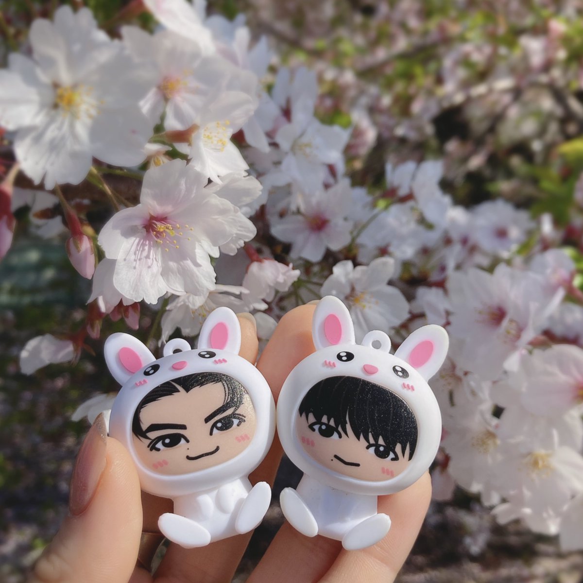 usafe_0713's tweet photo. 🍔🐲🌸🌿
#うさフィ https://t.co/gOmp22K1Vu