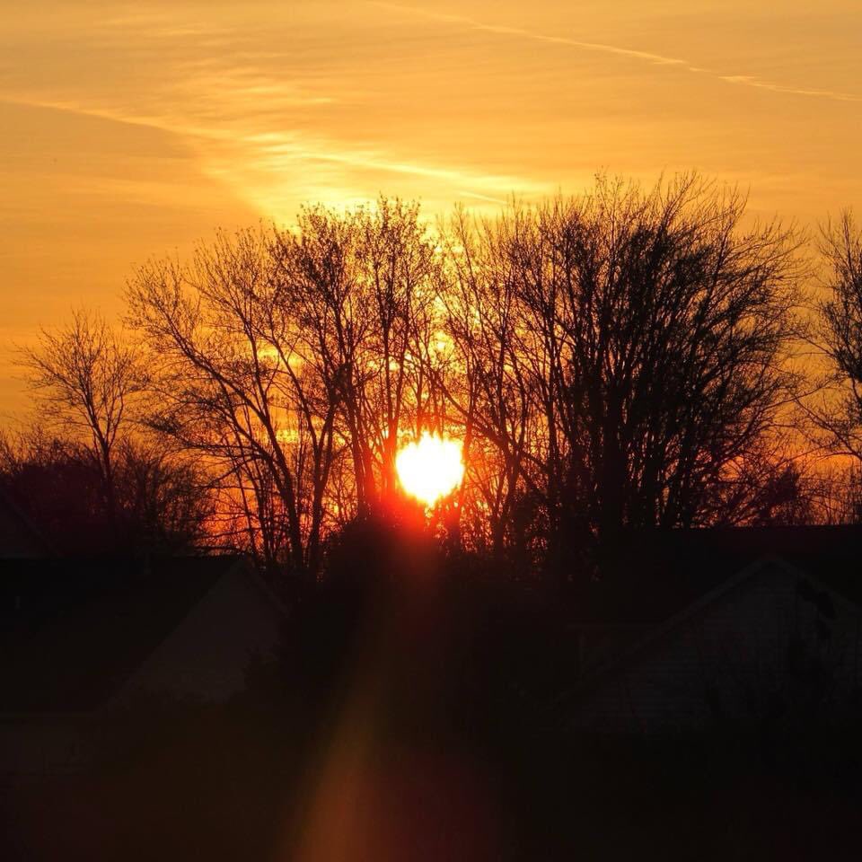 Golden sunset, photo by me #golden #sunsetphotography #sunsetparadise #SunsetLovers #Orange #TreesPeoplePlanet #trees #Ohio #Delaware #midwest #brownandorange #PeaceAndLove #spectacular #outdoors #nature #NatureBeauty #naturelovers #outmybackdoorbydenise