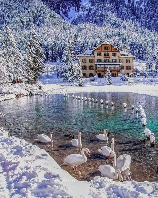 Lluvia53208679's tweet photo. Good Afternoon 💙💙💙
#NatureBeauty #beautiful #NaturePhotograhpy https://t.co/9f5jpKxcWk
