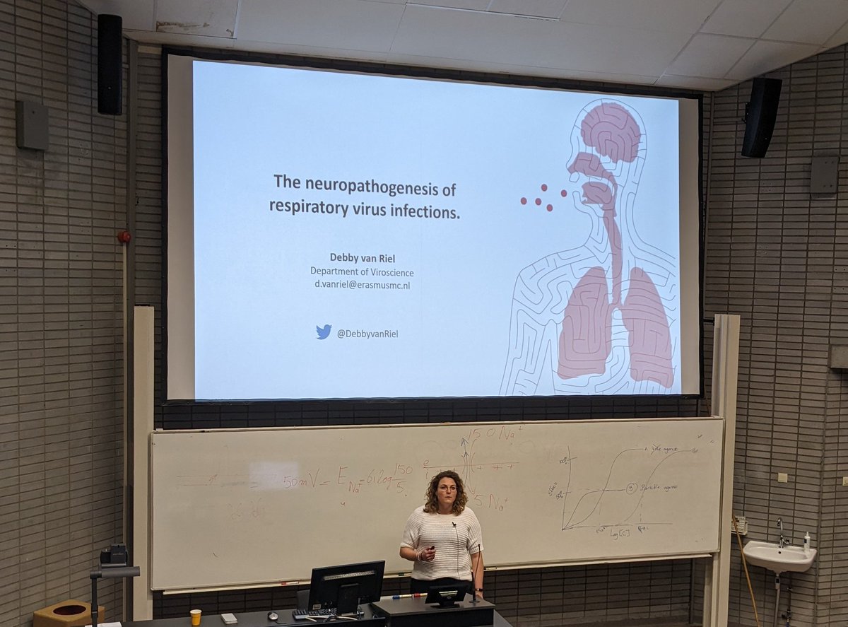 UtrechtVirology's tweet photo. Very interesting seminar by @DebbyvanRiel on the neuropathogenesis of respiratory viruses! 🧠 It was great to see data from @UtrechtVirology alumna @LisaBauerVirus who is clearly thriving in her postdoc role! 😁 #RielScience https://t.co/MHU9TusQw1