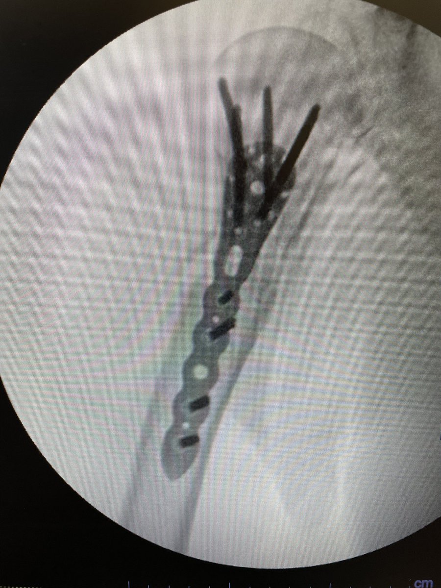 Very General Orthopaedist tweet media