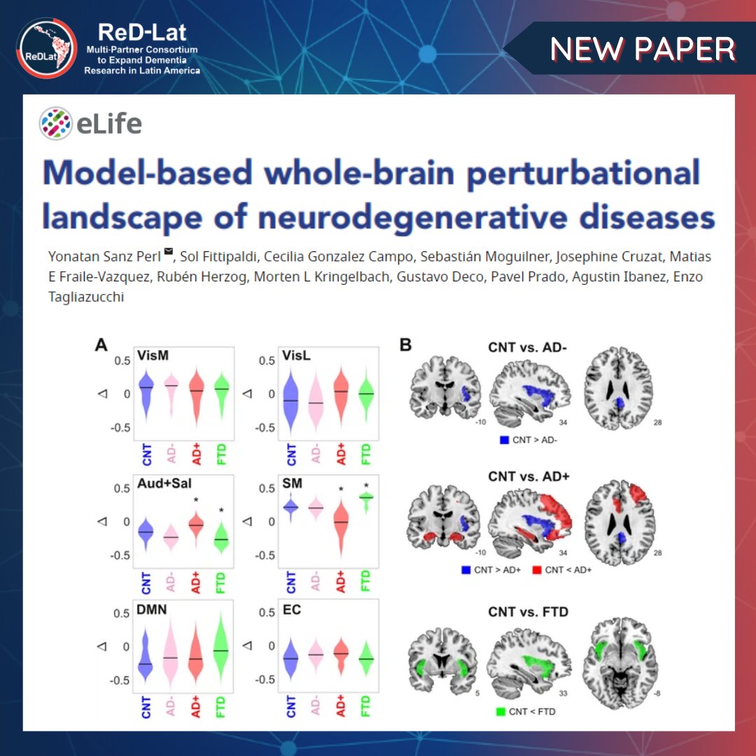 Did you know that #ArtificialIntelligence helps to understand neurodegenerative diseases? Our study in @eLife, we identified patterns of atrophy in #Alzheimer's and #FrontotemporalDementia patients using #deeplearning and brain connectivity models 👉bit.ly/3nLxsir