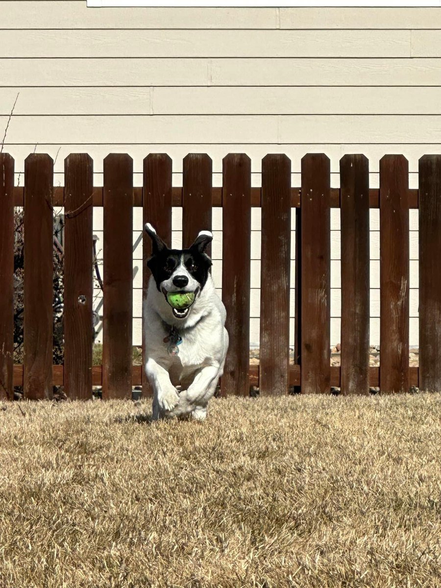 Magik🎩🎮 tweet media