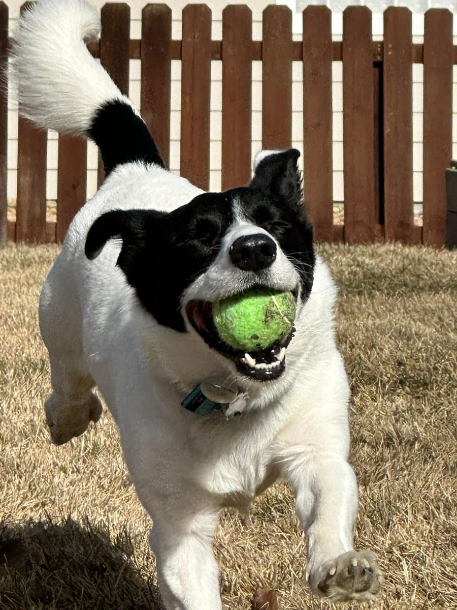 Magik🎩🎮 tweet media