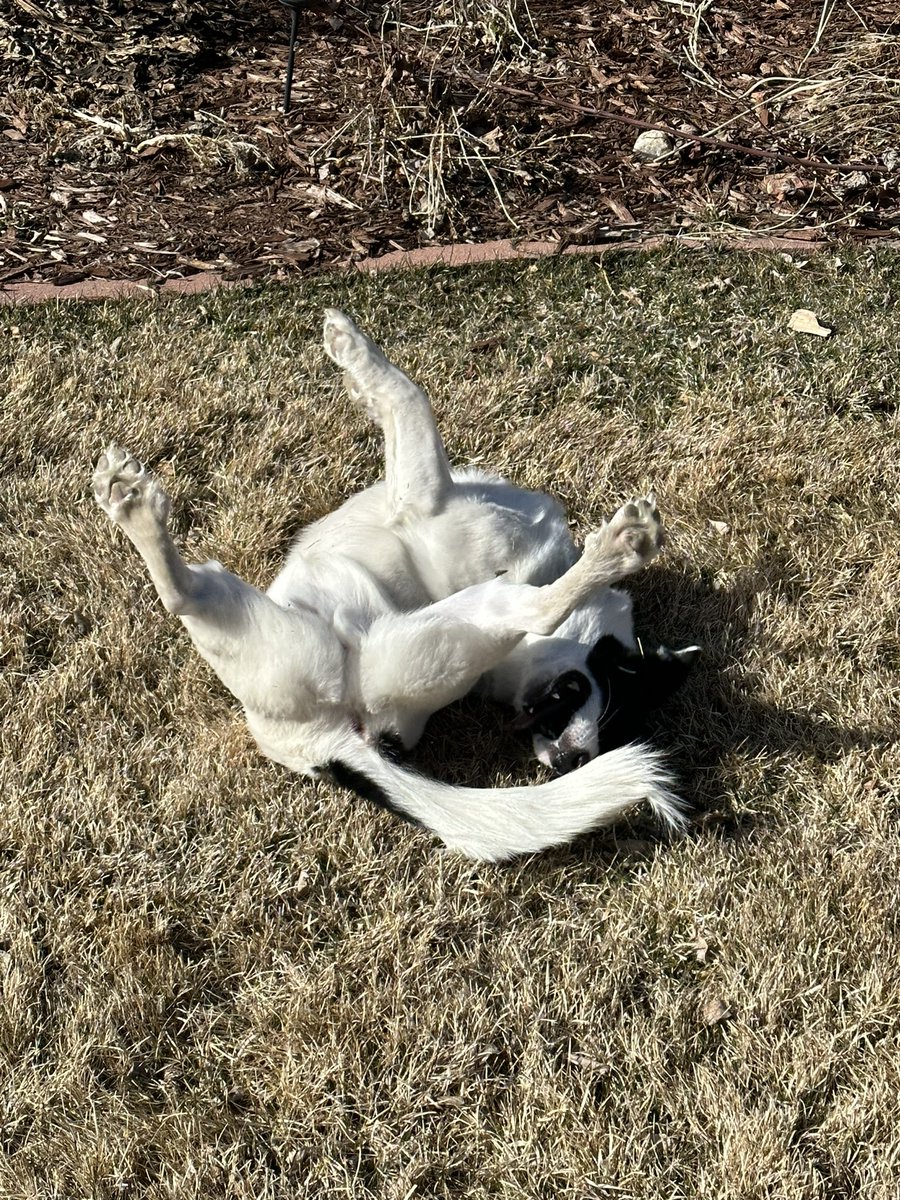 Magik🎩🎮 tweet media