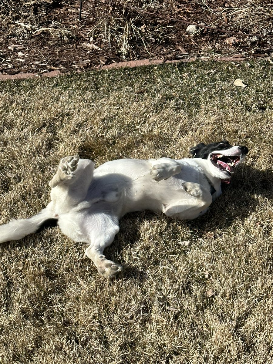 Magik🎩🎮 tweet media