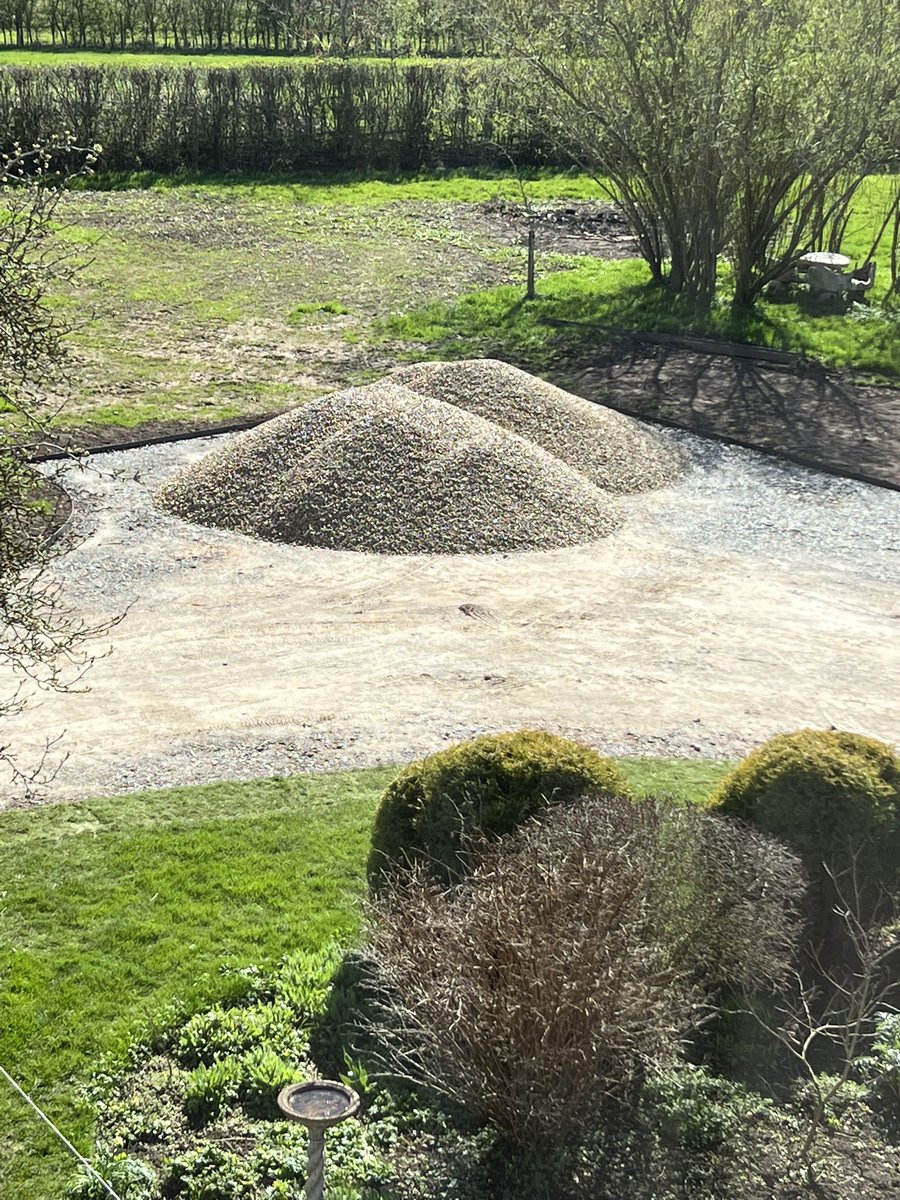 Afternoon pals. Landscaping team left for the day so we are out checking the new turf…and our cat litter delivery!