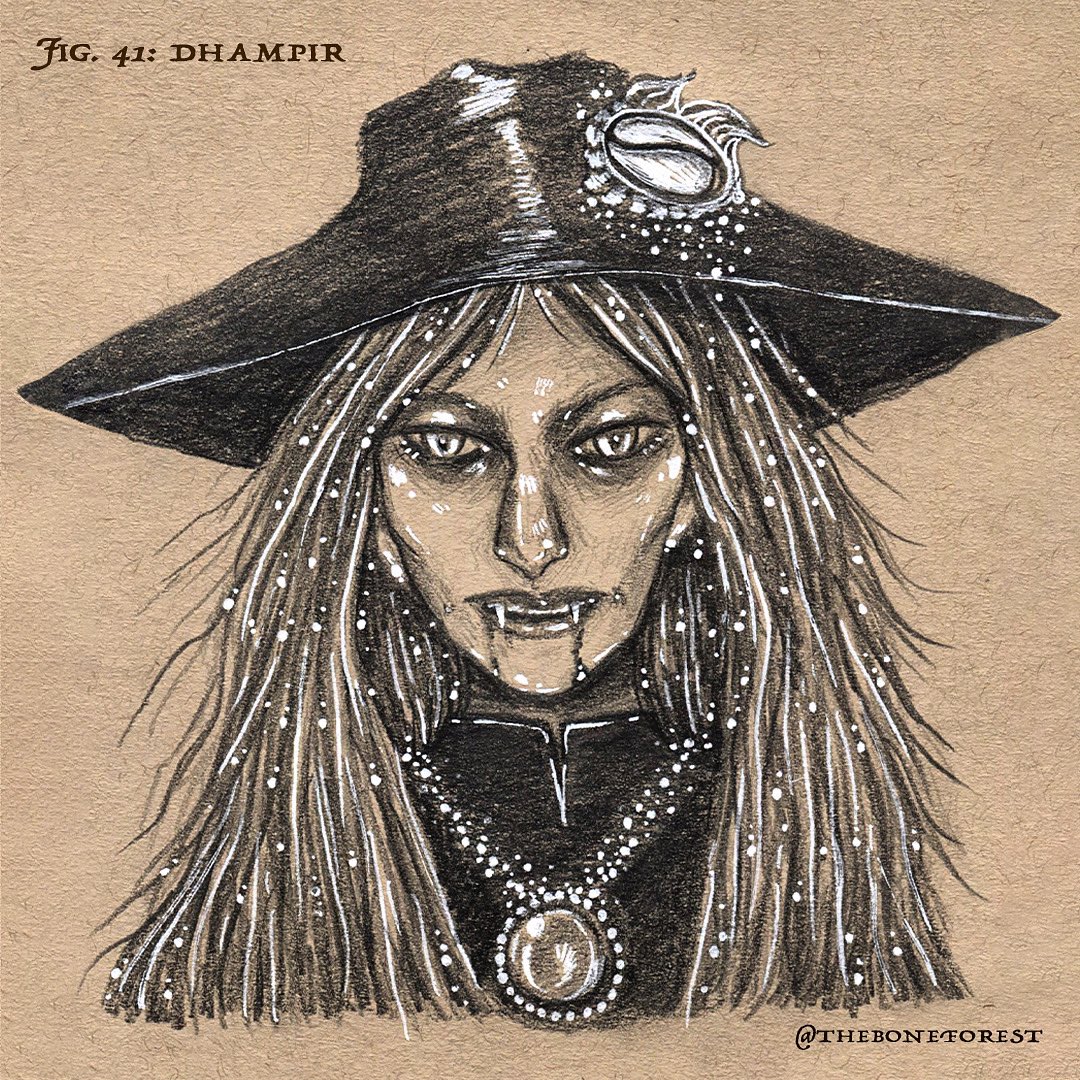 theboneforest's tweet photo. Fig. 41 : Dhampir 🌿 (41/100) [NFS]
•
#art #illustration #ink #pencil #graphite #gelpen #bestiary #otherworld #fantasy #horror #horrorart #mythology #characterdesign #the100dayproject #the100dayproject2023 #100daysofbestiary #dhampir #vampire #halfvampire #vampirehunterd https://t.co/qomF0MYKw4