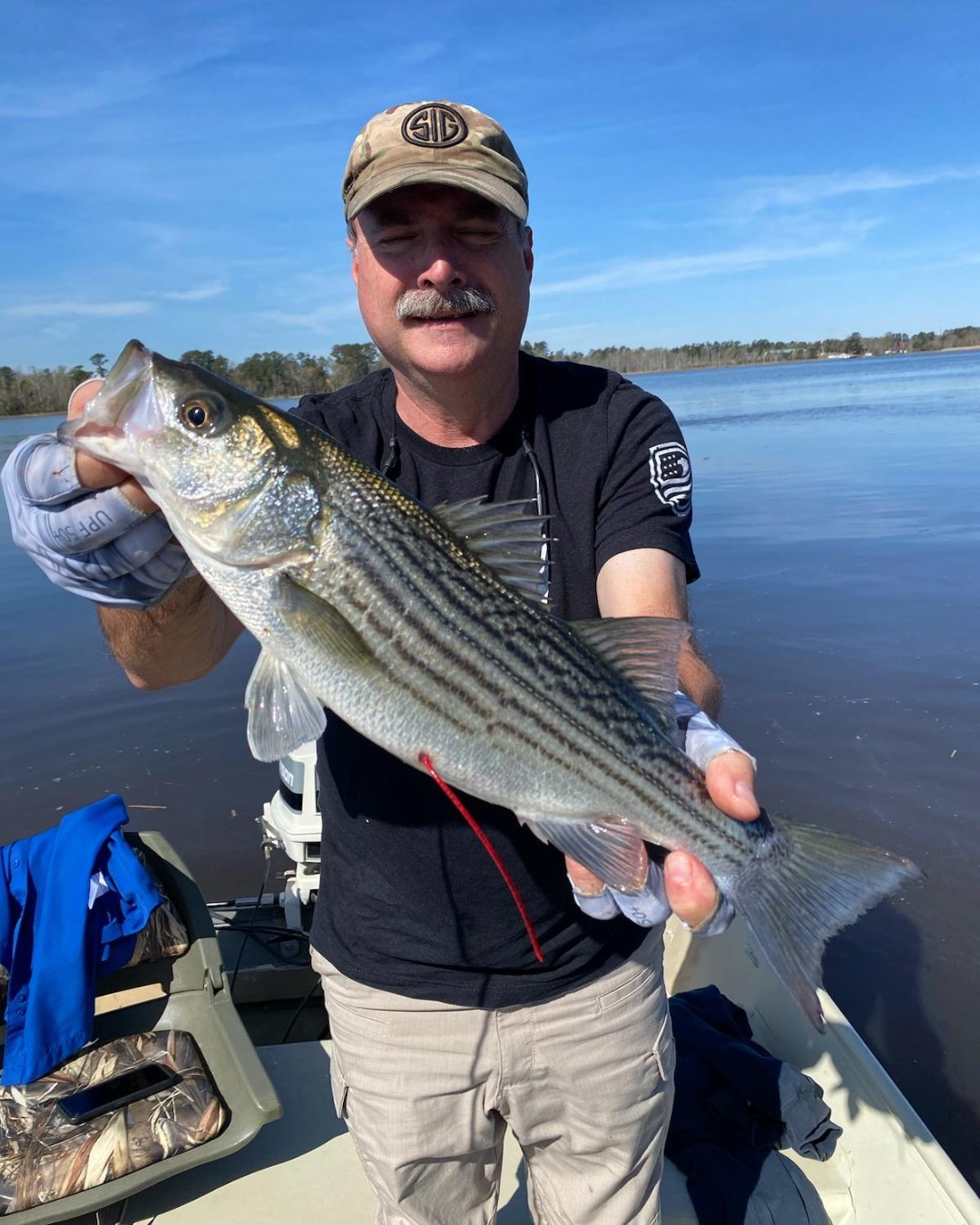 NC Division of Marine Fisheries on Twitter "TaggingTuesdays Wayne recently reported an 18