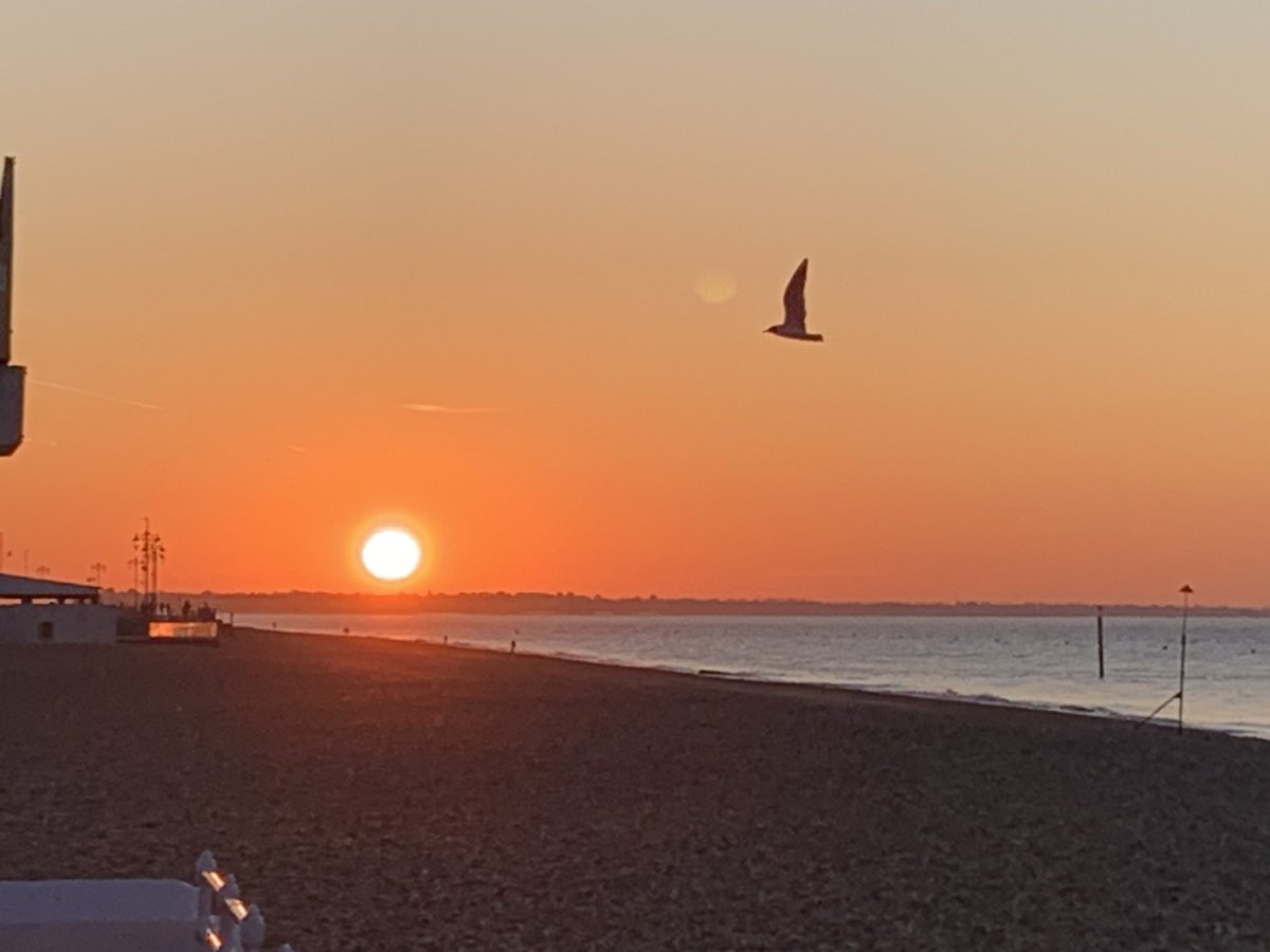 Loving the morning commute to work - look at that sunrise 🌅 #southseaseafront #runcommute #marathontraining