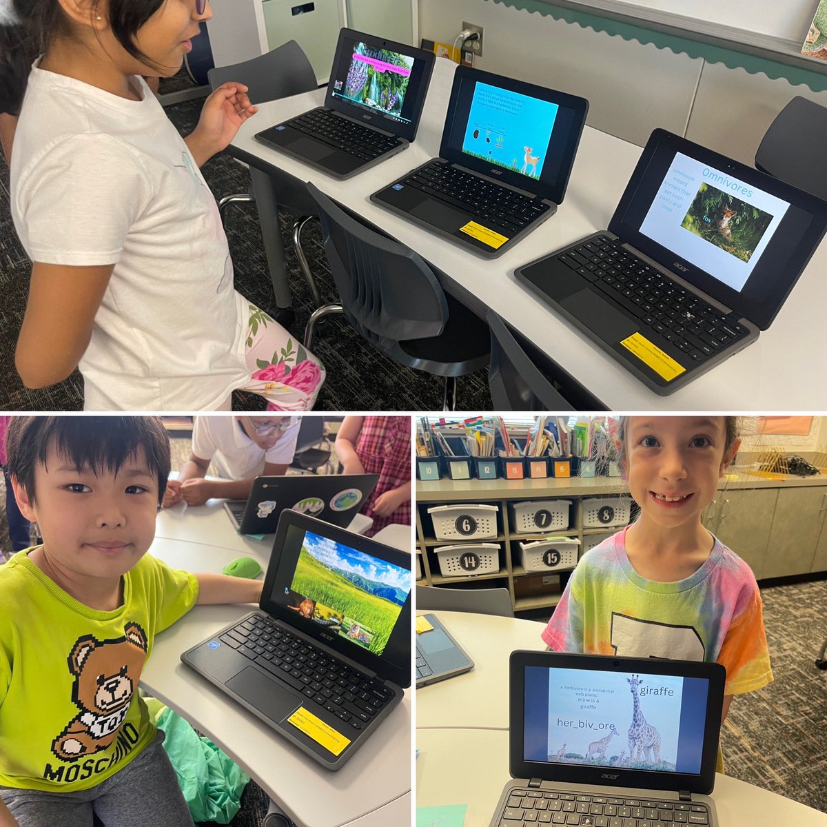 mrsfoxy2nd's tweet image. Using Canva to teach each other new Science vocabulary! Kids say this is a WIN! #pinkspringtraining @CounselorCaring @pressNseale @eagertolearnSoo @shantieljovanna