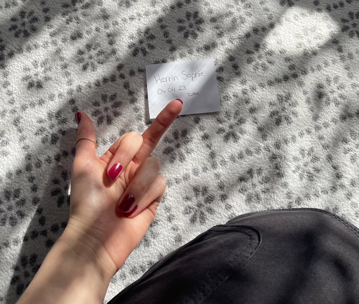 Herrin Sophie tweet media