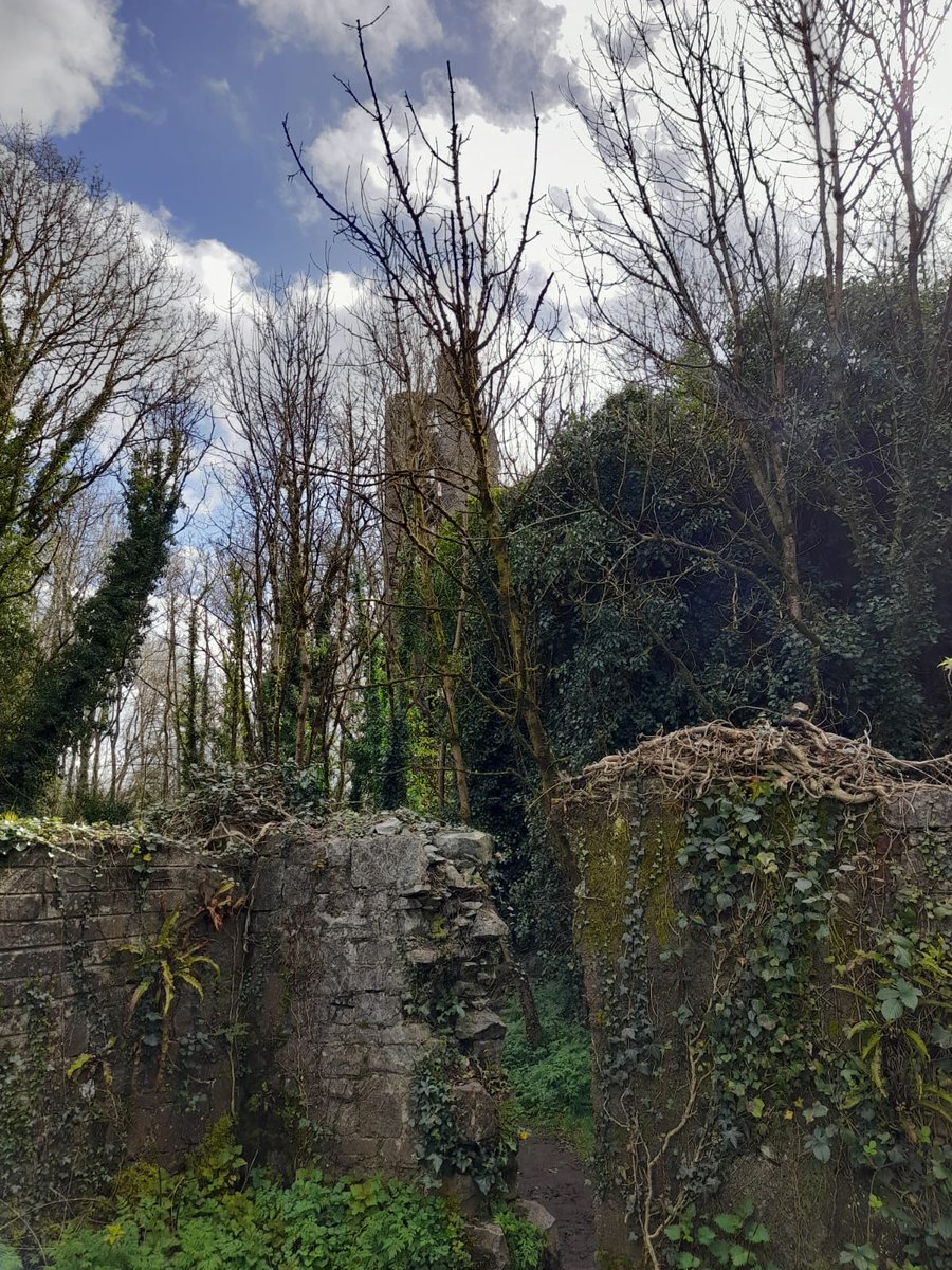 ULLangCentre's tweet photo. Have you seen this old castle on campus?
@UL
@ulglobal
#studyatul
#studyatullc
#studyinireland
#studyenglishinireland
#studyenglishabroad https://t.co/pWDukptTJW