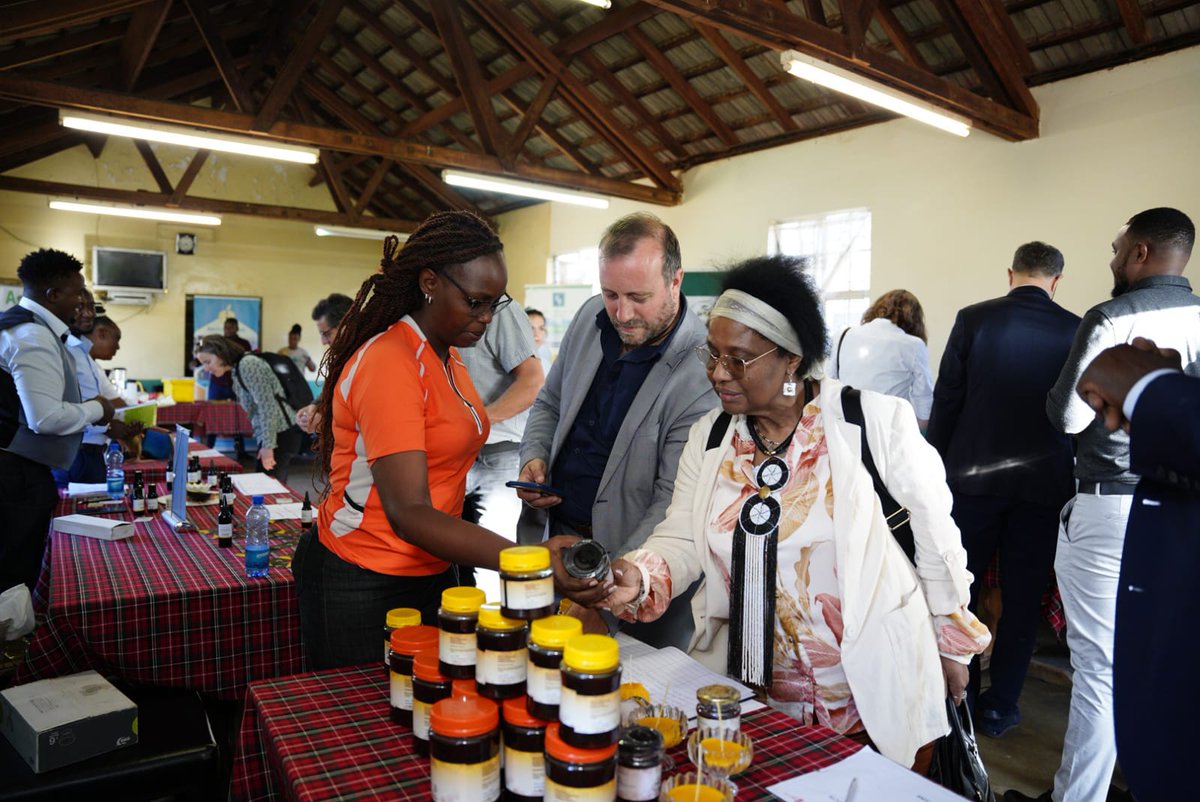 The #EU Parliament DEVE had the opportunity to tour Kenya Climate Innovation Centre Incubator projects that are utilising the € 18.9M #EU funding to change the lives of over 2400 #women and #youth owned companies through their #Agribiz Program.