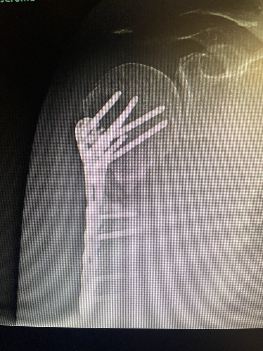 Very General Orthopaedist tweet media
