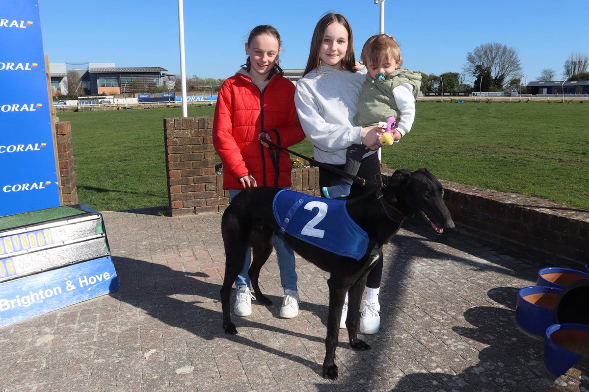 adachikennels's tweet photo. 🌟Brilliant photos today of Adachi Snoopdogg at his meet and greet with the children at @HoveGreyhounds !!love to see this happening at the track ! 🌟

#getthekidsinvolved https://t.co/0dfBouaMGc