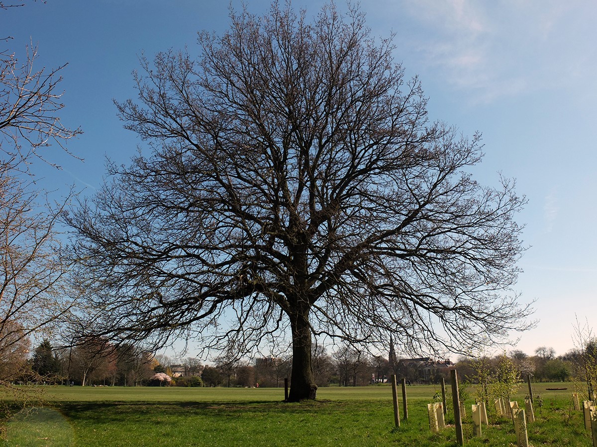 TheTreeCouncil's tweet photo. Watch these trees transform! π³
Our team has snapped some of their local trees so we can see their bounce back into life at the end of the month. Share yours using #ChangingTrees π
#SpringInYourStep https://t.co/ORfC6iwcU0