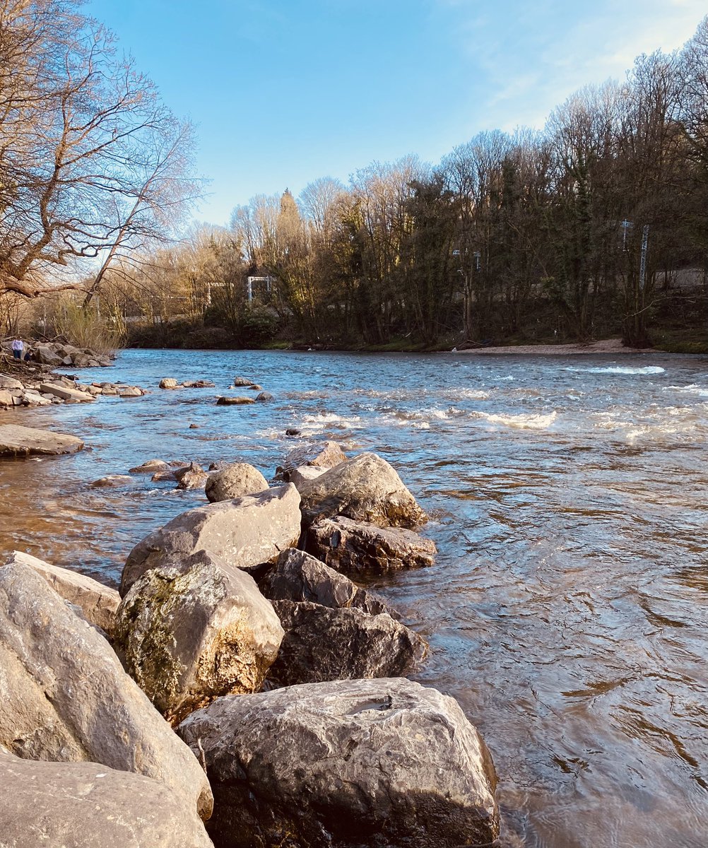 Juggling_Words's tweet photo. Late afternoon meander along the river in Cardiff North. Beautiful sunshine along the fresh flowers & waterways.
Bliss.
Breathe.
#Nature #Wildlife #Rivers #Meanders
#CardiffNorth #Photography #Spring https://t.co/TZ7IEveuxT