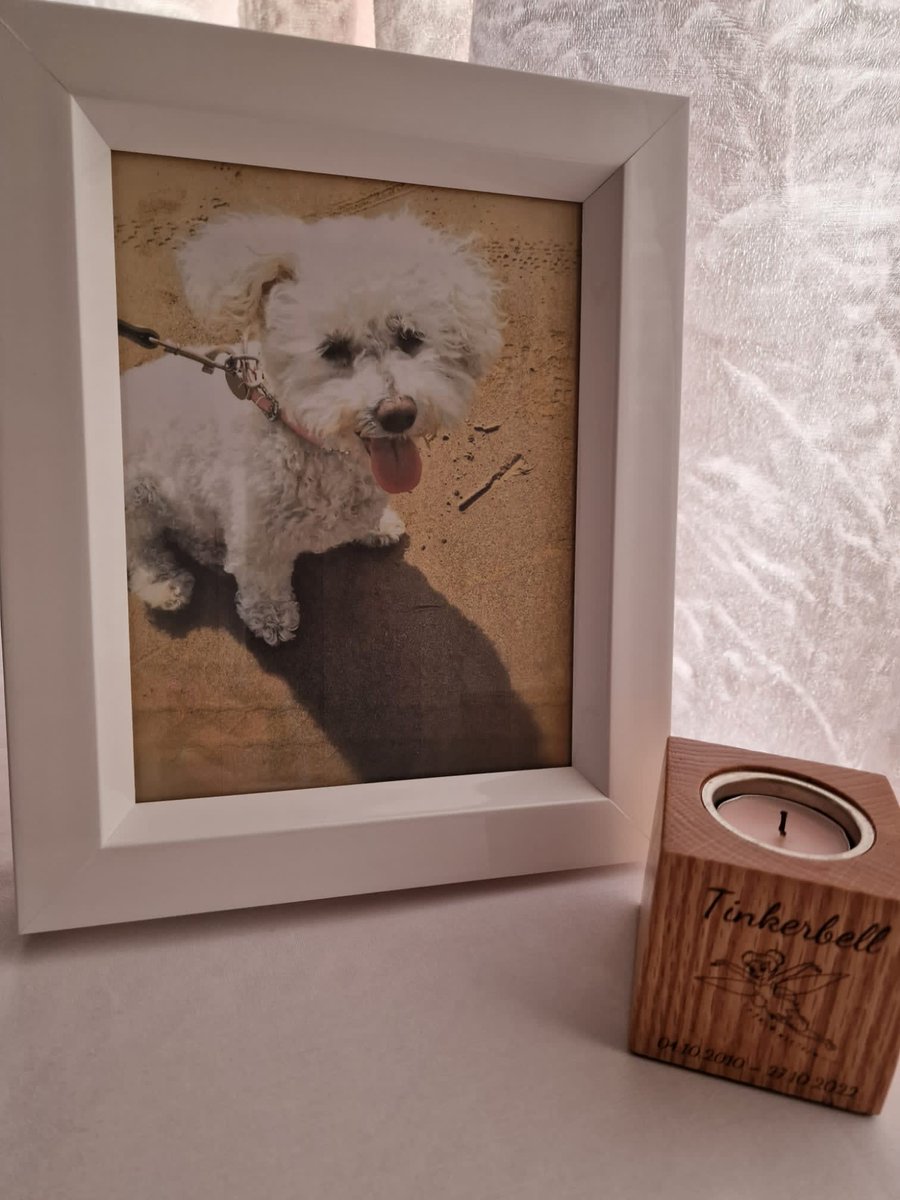 MGRfunerals's tweet photo. A different style Tribute Frame Photo Urn and keepsake candle 

Keep your beloved pet or loved one close🐶

#mgrfunerals #newportfuneraldirectors #cardifffuneraldirectors 
@tributesfuneral https://t.co/zNVfjqYOuA