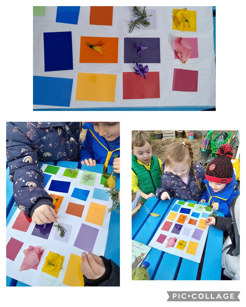 Suzieq1402's tweet photo. Lovely time with #fareplaynursery at @FARE_Scotland Lochend C Allotment. We planted 1st earlies, used our sense of smell in herb garden, matched flowers &amp; leaves to our colour chart, ssng the digging song. @LeniFare @Jimmy_FARE #CommunityGardenWeek @RHSSchools @CultivationSt https://t.co/Rq5wQ0KuTX