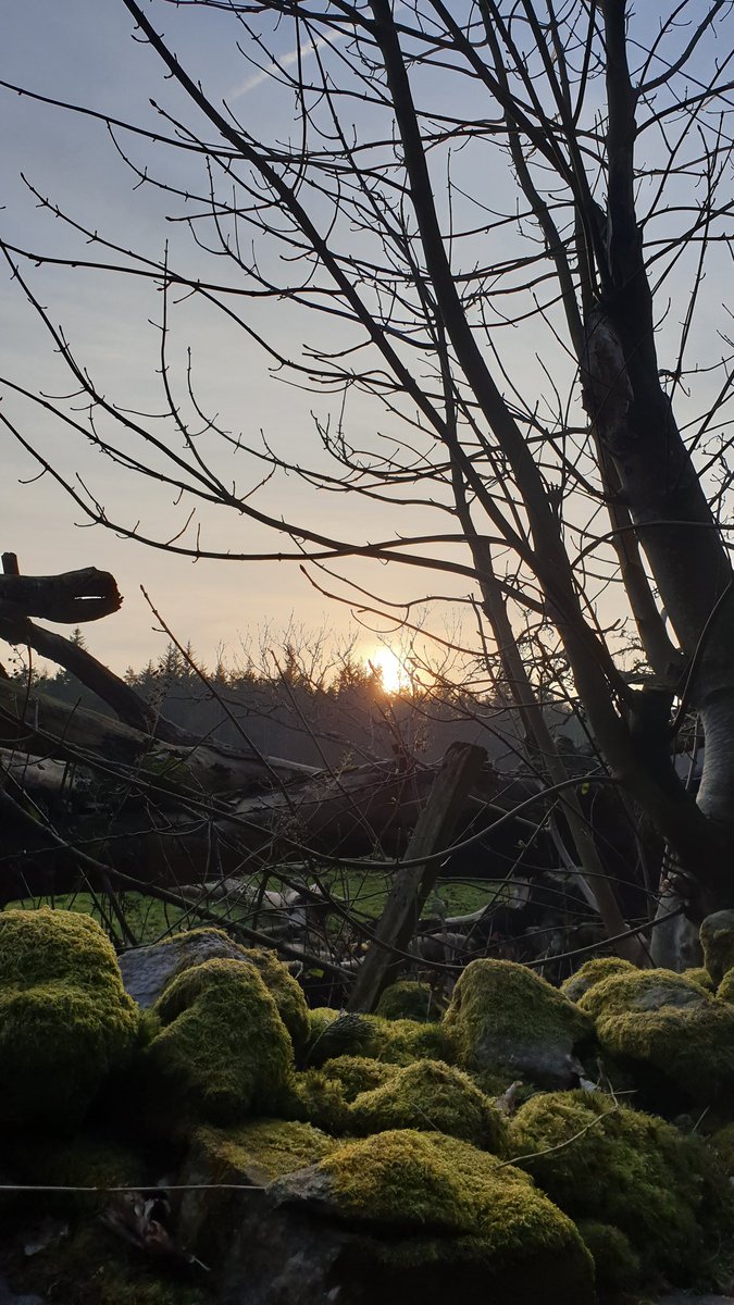KirstySabina's tweet photo. When working we ensure the wellbeing &amp; wellness of our little people on a daily basis, often leading to us forgetting about ourselves. 
Tonight was literally about me &amp; my wellbeing &amp; I loved it.
#wellbeing #wellness #nursery #ELC #EYP #lookingafterme #NaturePhotography https://t.co/jv34FIuzPI
